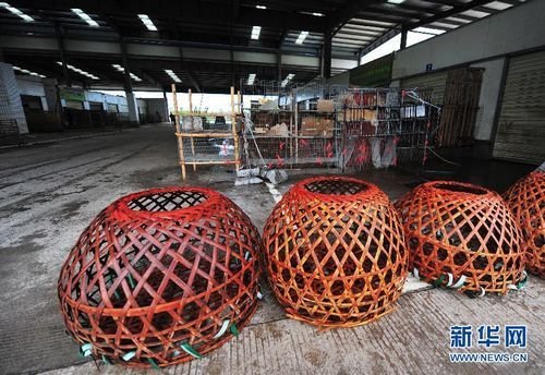 防控H7N9 福州海峡家禽批发市场紧急关闭