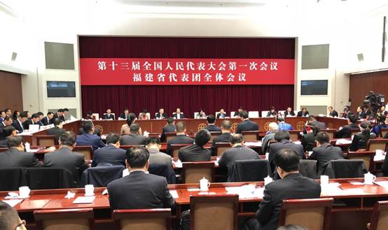 福建代表团举行全体会议 审议政府工作报告